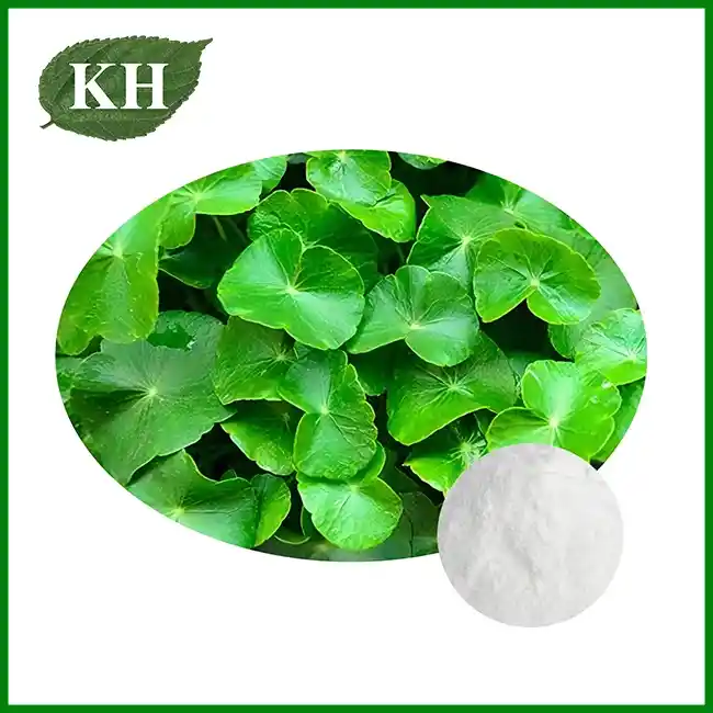 Centella Asiatica Extract Powder — Cosmetic Grade